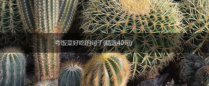 夸饭菜好吃的句子(精选40句),第1张