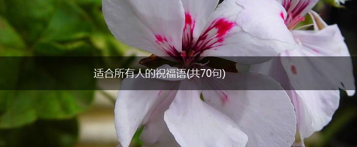 适合所有人的祝福语(共70句),第1张 适合所有人的祝福语(共70句),第1张