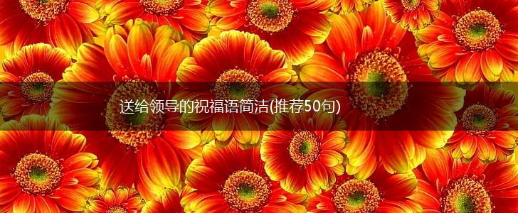 送给领导的祝福语简洁(推荐50句),第1张