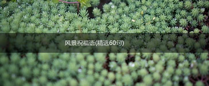 风景祝福语(精选60句),第1张