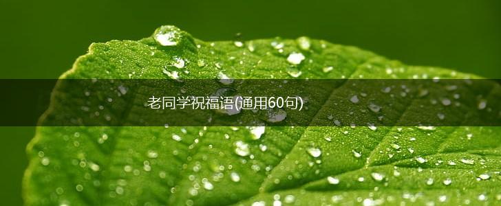 老同学祝福语(通用60句),第1张