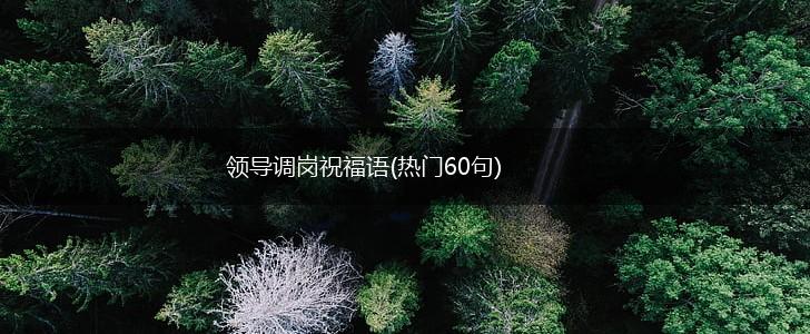 领导调岗祝福语(热门60句),第1张