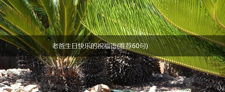 老爸生日快乐的祝福语(推荐60句),第1张 老爸生日快乐的祝福语(推荐60句),第1张