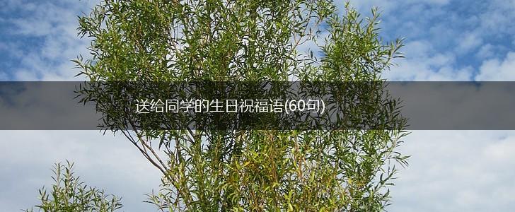 送给同学的生日祝福语(60句),第1张 送给同学的生日祝福语(60句),第1张