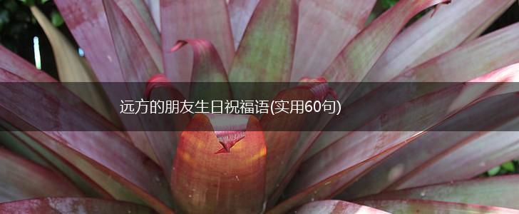远方的朋友生日祝福语(实用60句),第1张 远方的朋友生日祝福语(实用60句),第1张