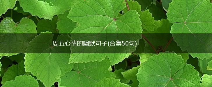 周五心情的幽默句子(合集50句),第1张
