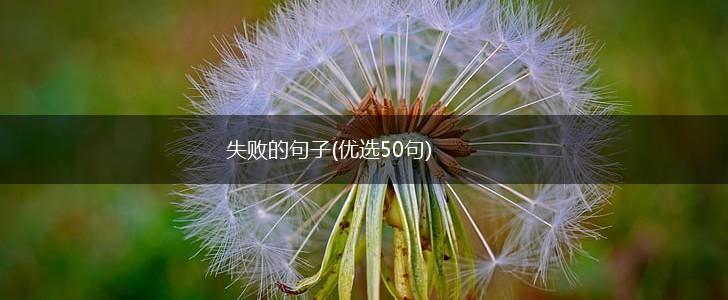 失败的句子(优选50句),第1张