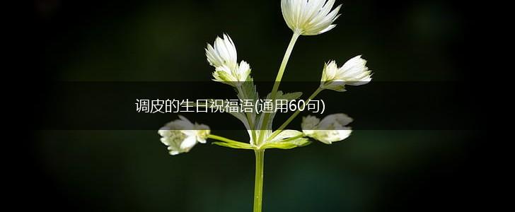 调皮的生日祝福语(通用60句),第1张