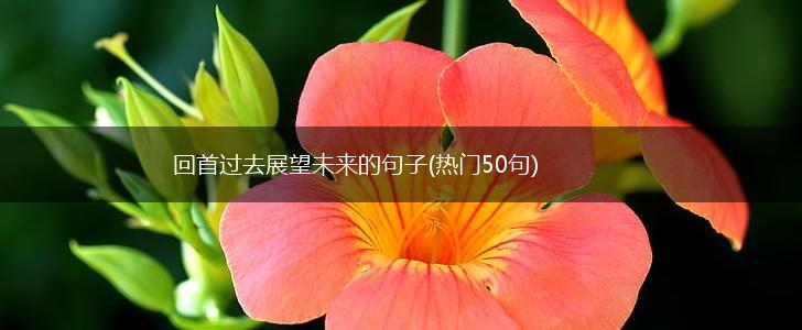 回首过去展望未来的句子(热门50句),第1张