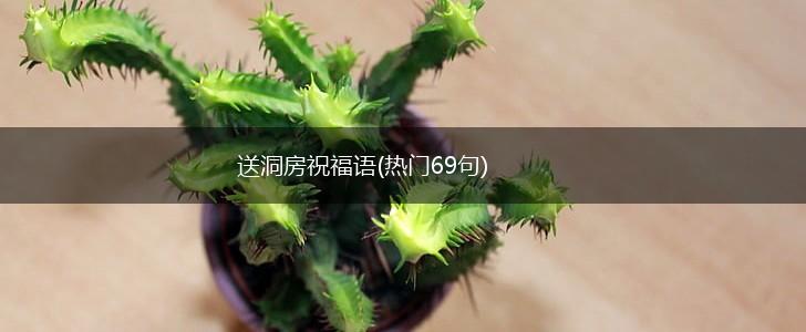 送洞房祝福语(热门69句),第1张