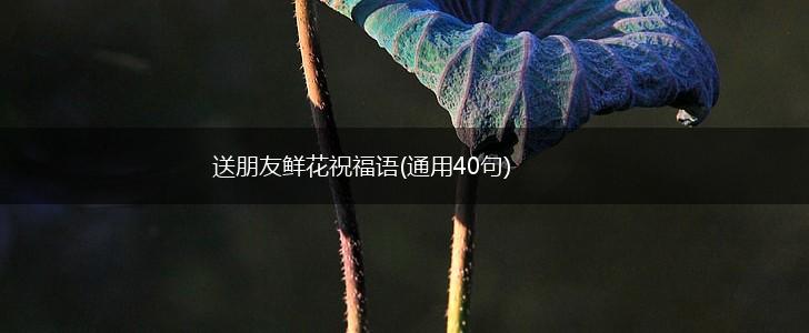 送朋友鲜花祝福语(通用40句),第1张 送朋友鲜花祝福语(通用40句),第1张