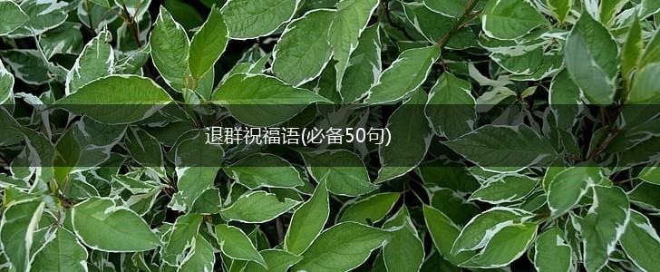 退群祝福语(必备50句),第1张