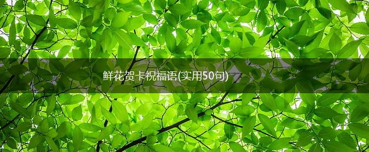 鲜花贺卡祝福语(实用50句),第1张