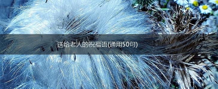 送给老人的祝福语(通用50句),第1张 送给老人的祝福语(通用50句),第1张