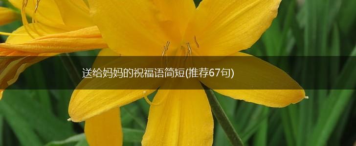 送给妈妈的祝福语简短(推荐67句),第1张 送给妈妈的祝福语简短(推荐67句),第1张