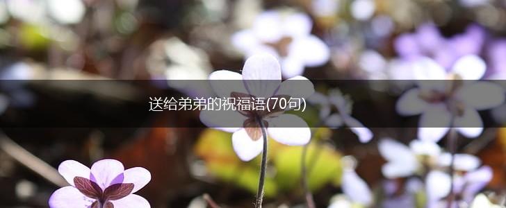 送给弟弟的祝福语(70句),第1张 送给弟弟的祝福语(70句),第1张