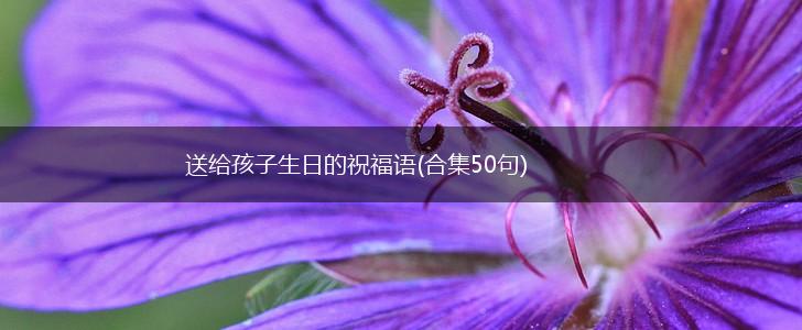 送给孩子生日的祝福语(合集50句),第1张