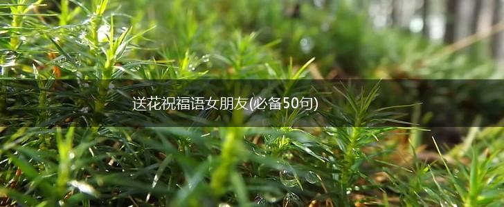 送花祝福语女朋友(必备50句),第1张