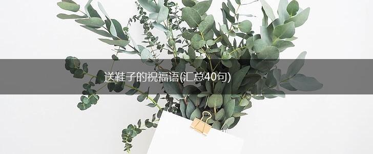 送鞋子的祝福语(汇总40句),第1张 送鞋子的祝福语(汇总40句),第1张