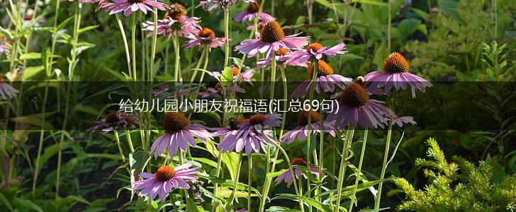 给幼儿园小朋友祝福语(汇总69句),第1张 给幼儿园小朋友祝福语(汇总69句),第1张