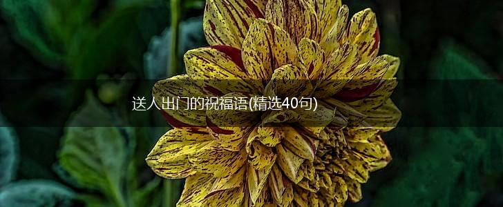 送人出门的祝福语(精选40句),第1张 送人出门的祝福语(精选40句),第1张