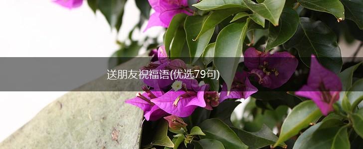 送朋友祝福语(优选79句),第1张 送朋友祝福语(优选79句),第1张