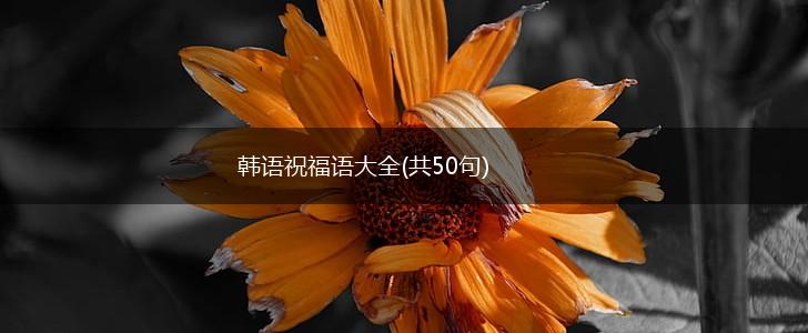 韩语祝福语大全(共50句),第1张