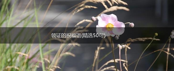 领证的祝福语(精选50句),第1张