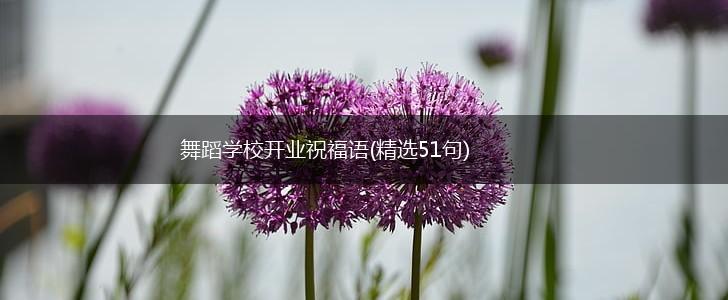 舞蹈学校开业祝福语(精选51句),第1张