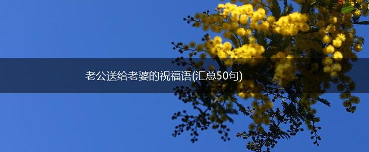 老公送给老婆的祝福语(汇总50句),第1张