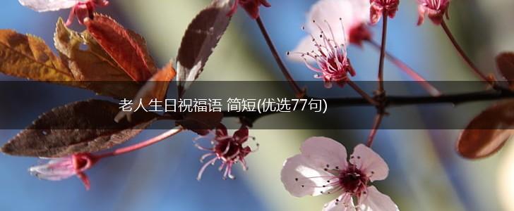 老人生日祝福语 简短(优选77句),第1张