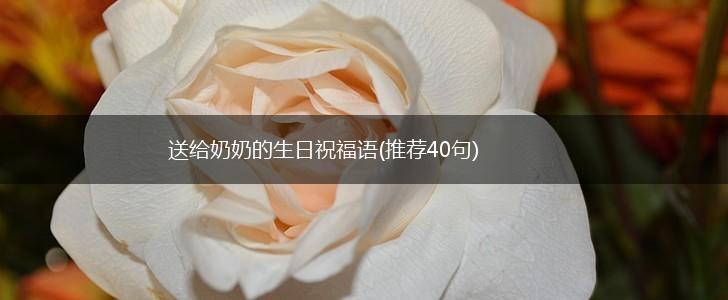 送给奶奶的生日祝福语(推荐40句),第1张 送给奶奶的生日祝福语(推荐40句),第1张