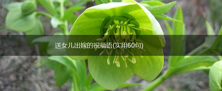 送女儿出嫁的祝福语(实用60句),第1张