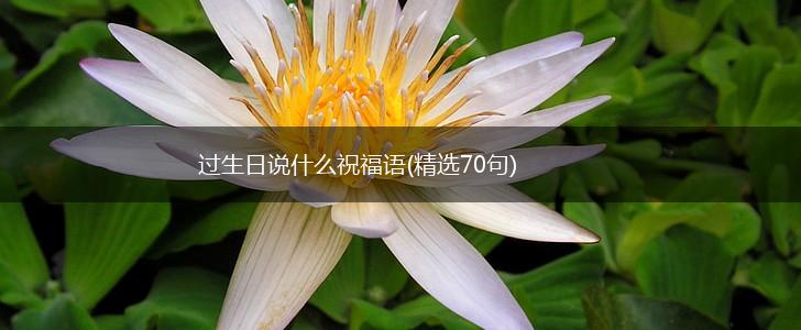 过生日说什么祝福语(精选70句),第1张