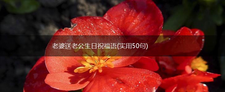 老婆送老公生日祝福语(实用50句),第1张 老婆送老公生日祝福语(实用50句),第1张