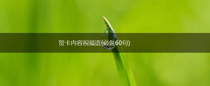 贺卡内容祝福语(必备60句),第1张