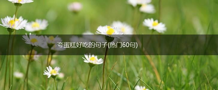 夸蛋糕好吃的句子(热门60句),第1张 夸蛋糕好吃的句子(热门60句),第1张