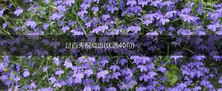 过百天祝福语(优选40句),第1张