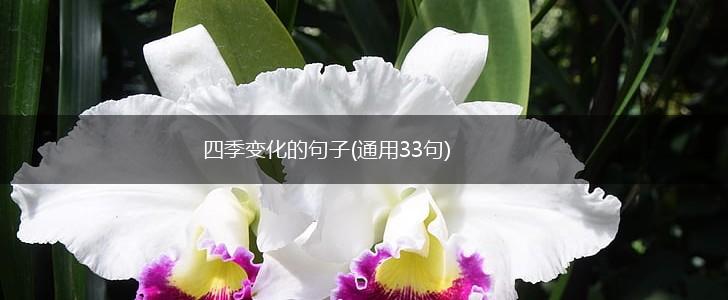 四季变化的句子(通用33句),第1张