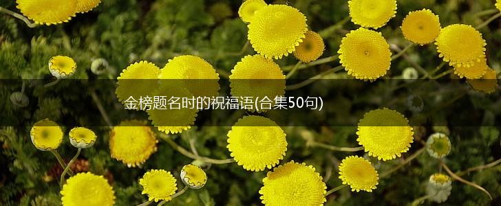 金榜题名时的祝福语(合集50句),第1张