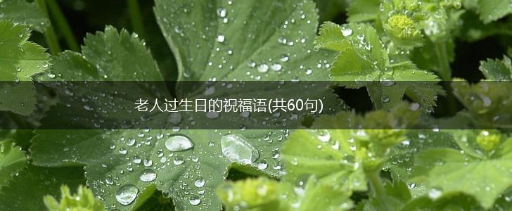 老人过生日的祝福语(共60句),第1张 老人过生日的祝福语(共60句),第1张