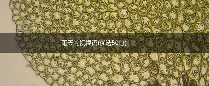 雨天的祝福语(优选50句),第1张