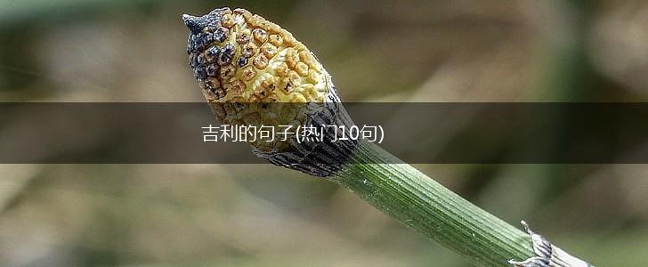 吉利的句子(热门10句),第1张