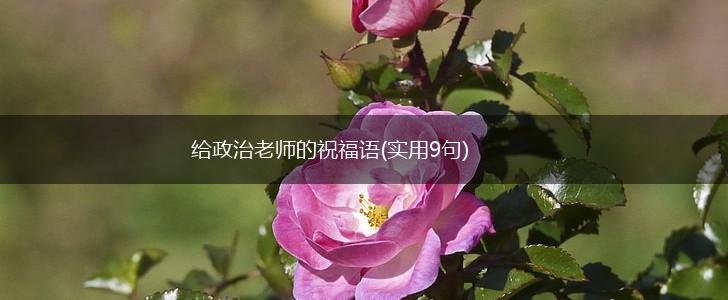 给政治老师的祝福语(实用9句),第1张