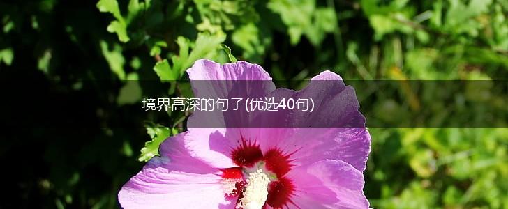 境界高深的句子(优选40句),第1张