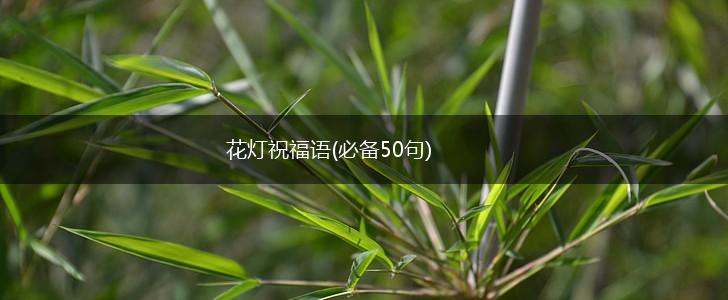 花灯祝福语(必备50句),第1张
