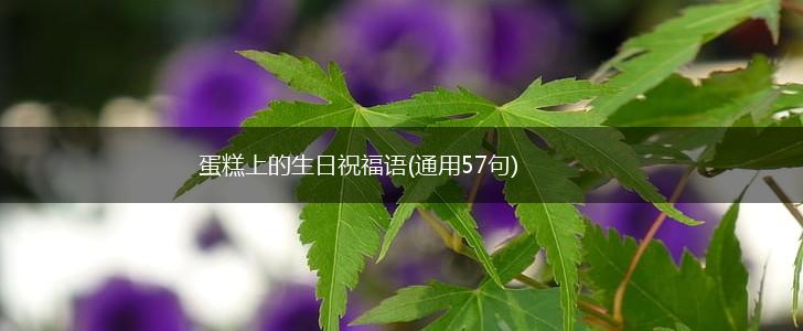 蛋糕上的生日祝福语(通用57句),第1张