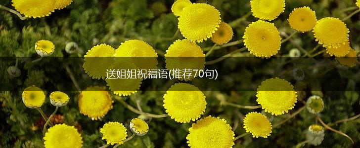 送姐姐祝福语(推荐70句),第1张 送姐姐祝福语(推荐70句),第1张