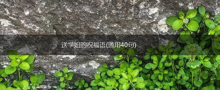 送学姐的祝福语(通用40句),第1张 送学姐的祝福语(通用40句),第1张