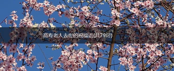 高寿老人去世的祝福语(共79句),第1张